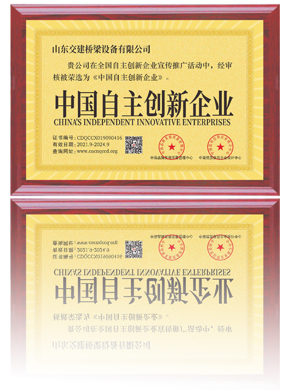 自主創(chuàng)新企業(yè)